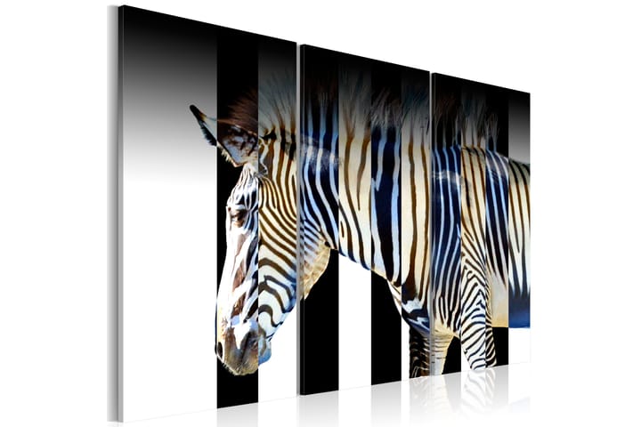 Taulu Stripes 90x60 - Artgeist sp. z o. o. - Sisustustuotteet - Taulu & taide - Canvas-taulu