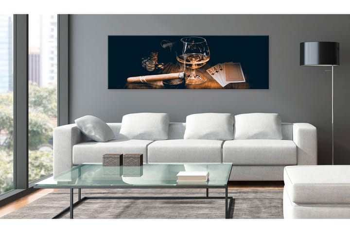 Taulu Stylish Entertainment 120x40 - Artgeist sp. z o. o. - Sisustustuotteet - Taulu & taide - Canvas-taulu