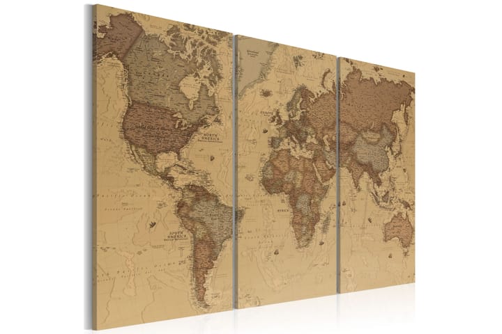 Taulu Stylish World Map 90x60 - Artgeist sp. z o. o. - Sisustustuotteet - Taulu & taide - Canvas-taulu