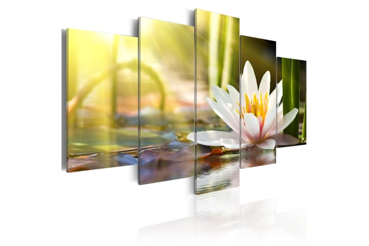 Taulu Sunny Lotus 100x50 - Artgeist sp. z o. o. - Sisustustuotteet - Taulu & taide - Canvas-taulu