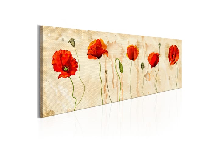 Taulu Tears Of Poppies 150x50 - Artgeist sp. z o. o. - Sisustustuotteet - Taulu & taide - Canvas-taulu