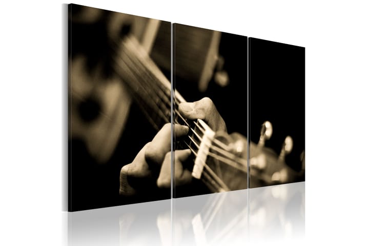 Taulu The magic sound of a guitar 90x60 - Artgeist sp. z o. o. - Sisustustuotteet - Taulu & taide - Canvas-taulu