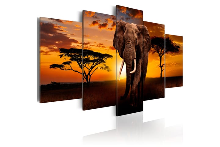 Taulu The Savannah King 100x50 - Artgeist sp. z o. o. - Sisustustuotteet - Taulu & taide - Canvas-taulu