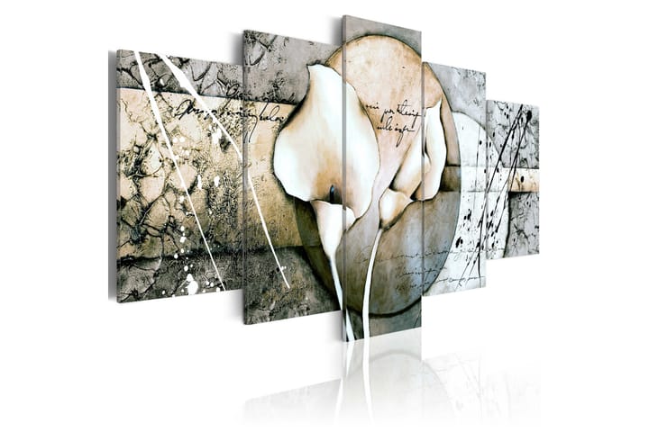 Taulu The Secret Of Calla Lily Grey 200x100 - Artgeist sp. z o. o. - Sisustustuotteet - Taulu & taide - Canvas-taulu