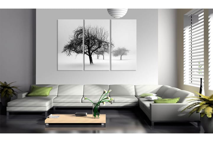 Taulu Trees submerged in white 90x60 - Artgeist sp. z o. o. - Sisustustuotteet - Taulu & taide - Canvas-taulu