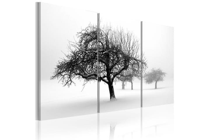 Taulu Trees submerged in white 90x60 - Artgeist sp. z o. o. - Sisustustuotteet - Taulu & taide - Canvas-taulu