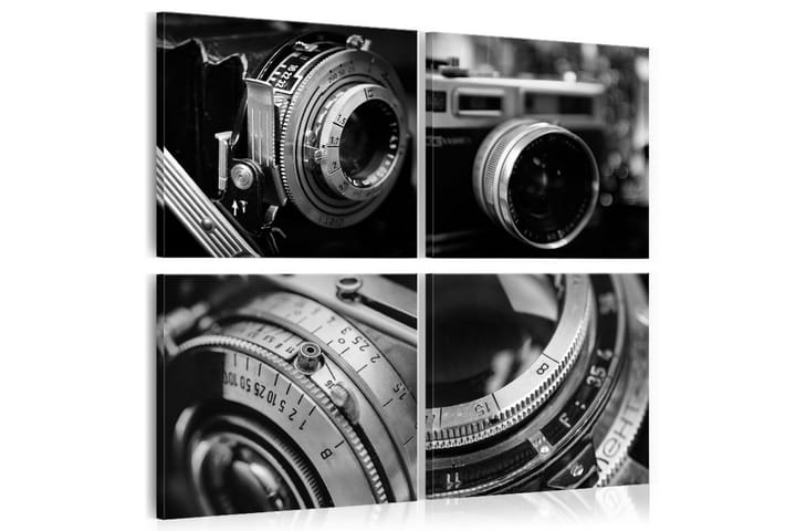 Taulu Vintage Cameras 60x60 - Artgeist sp. z o. o. - Canvas-taulu - Seinäkoristeet