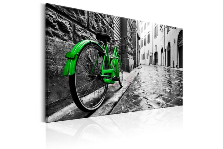 Taulu Vintage Green Bike 60x40 - Artgeist sp. z o. o. - Sisustustuotteet - Taulu & taide - Canvas-taulu