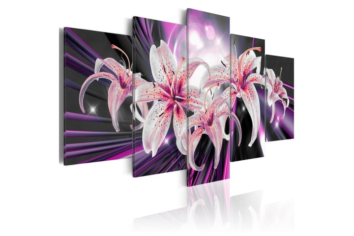 Taulu Violet Inspiration 100x50 - Artgeist sp. z o. o. - Sisustustuotteet - Taulu & taide - Canvas-taulu