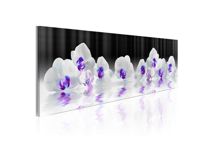 Taulu Water Orchids 150x50 - Artgeist sp. z o. o. - Sisustustuotteet - Taulu & taide - Canvas-taulu