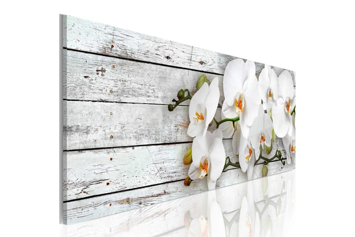 Taulu White Dreams 120x40 - Artgeist sp. z o. o. - Sisustustuotteet - Taulu & taide - Canvas-taulu