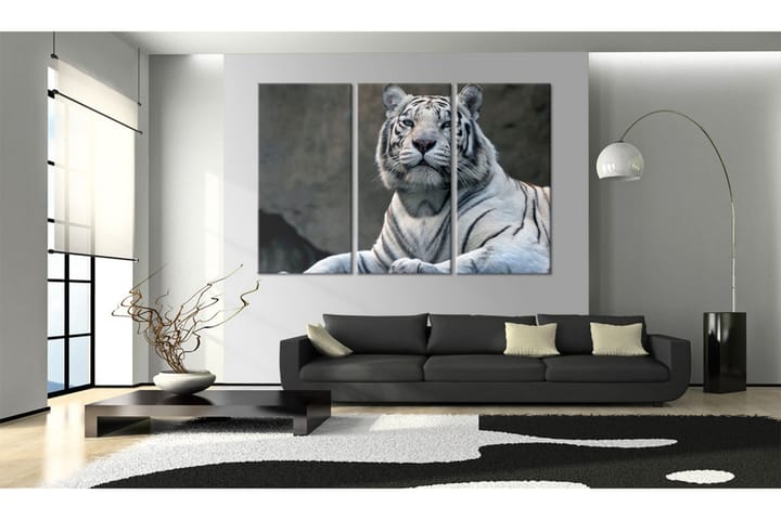 Taulu White Tiger 60x40 - Artgeist sp. z o. o. - Sisustustuotteet - Taulu & taide - Canvas-taulu