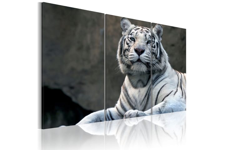 Taulu White Tiger 60x40 - Artgeist sp. z o. o. - Sisustustuotteet - Taulu & taide - Canvas-taulu