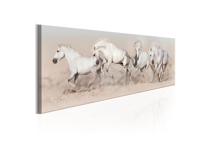 Taulu Wild Beauty 120x40 - Artgeist sp. z o. o. - Sisustustuotteet - Taulu & taide - Canvas-taulu