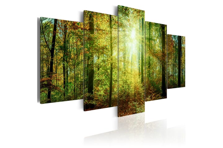 Taulu Wild Forest 100x50 - Artgeist sp. z o. o. - Sisustustuotteet - Taulu & taide - Canvas-taulu