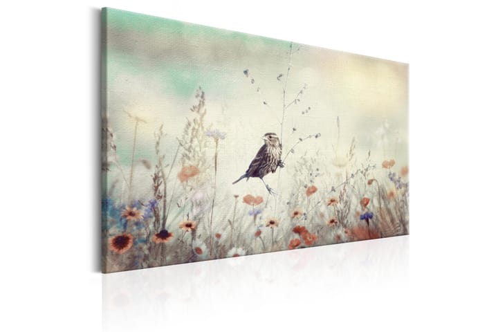 Taulu Wild Meadow 120x80 - Artgeist sp. z o. o. - Sisustustuotteet - Taulu & taide - Canvas-taulu