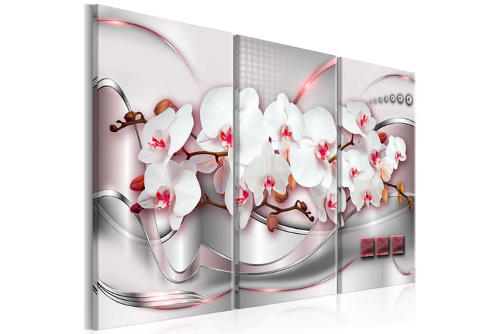 Taulu Wonderful Orchids 120x80 - Artgeist sp. z o. o. - Sisustustuotteet - Taulu & taide - Canvas-taulu