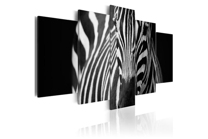 Taulu Zebra Look 200x100 - Artgeist sp. z o. o. - Sisustustuotteet - Taulu & taide - Canvas-taulu