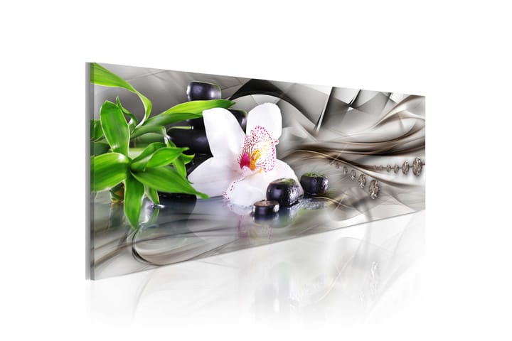 Taulu Zen Composition Bamboo Orchid And Kivis 135x45 - Artgeist sp. z o. o. - Sisustustuotteet - Taulu & taide - Canvas-taulu