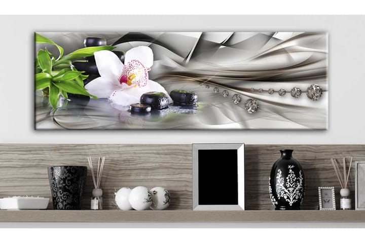 Taulu Zen Composition Bamboo Orchid And Kivis 135x45 - Artgeist sp. z o. o. - Sisustustuotteet - Taulu & taide - Canvas-taulu