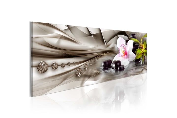 Taulu Zen Composition Orchid Bamboo And Kivis 120x40 - Artgeist sp. z o. o. - Sisustustuotteet - Taulu & taide - Canvas-taulu