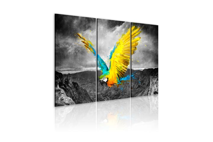 Taulu Paratiisin lintu 90x60 - Artgeist sp. z o. o. - Sisustustuotteet - Taulu & taide - Canvas-taulu