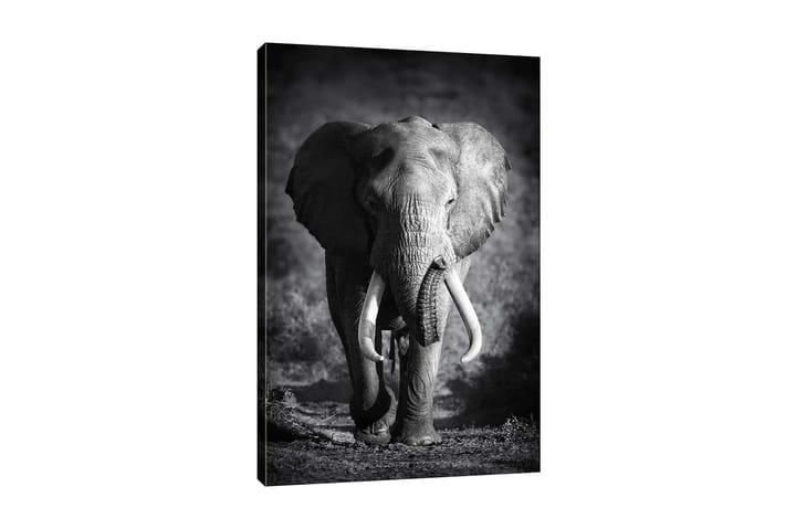 Decoratiivinen Canvas-taulu 70x100 - Sisustustuotteet - Taulu & taide - Canvas-taulu