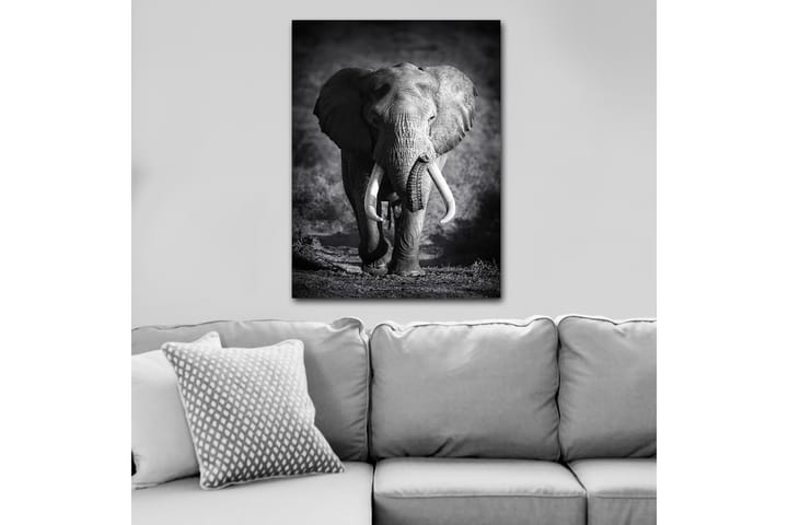 Decoratiivinen Canvas-taulu 70x100 - Sisustustuotteet - Taulu & taide - Canvas-taulu