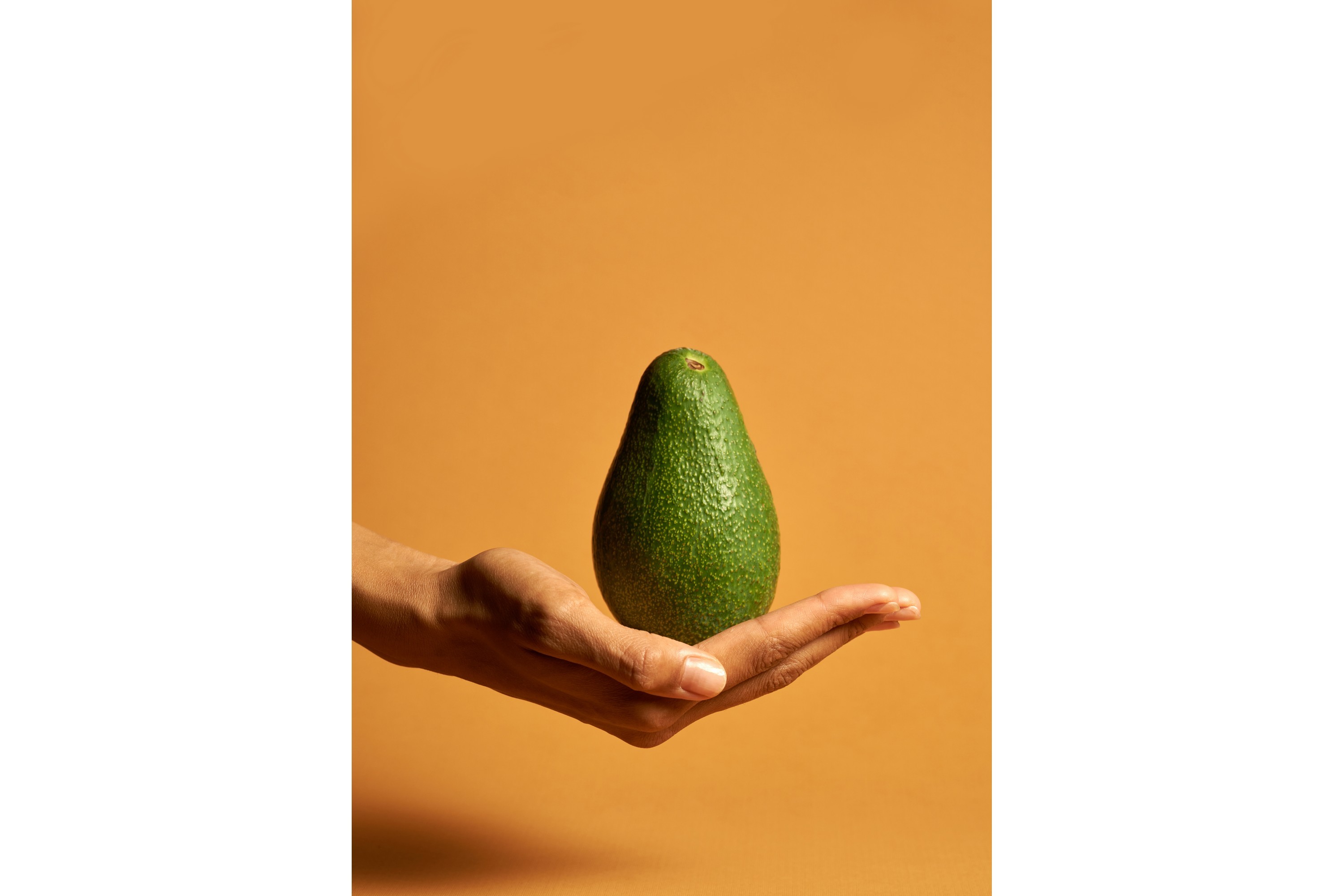 Venture Home Juliste Avocado 50x70 cm - Oranssi/Vihreä