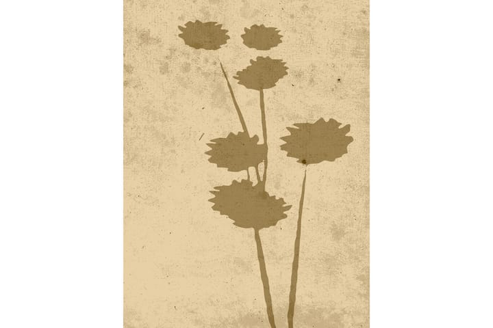 Juliste Flower art 30x40 cm - Beige - Sisustustuotteet - Taulu & taide - Juliste