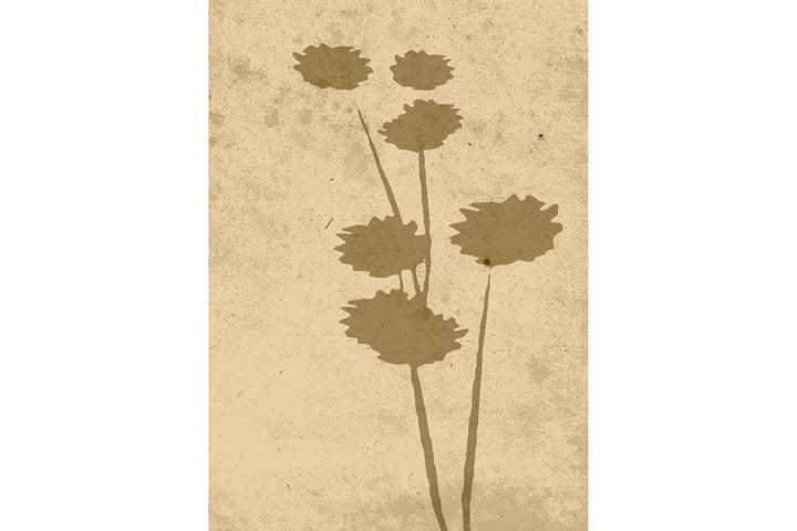 Juliste Flower art 50x70 cm - Beige - Sisustustuotteet - Taulu & taide - Juliste