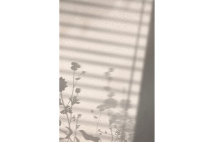 Juliste Flower shadow 21x30 cm - Valkoinen - Juliste