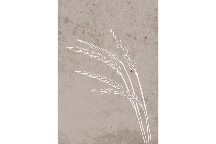 Juliste Seeds 21x30 cm - Beige - Sisustustuotteet - Taulu & taide - Juliste