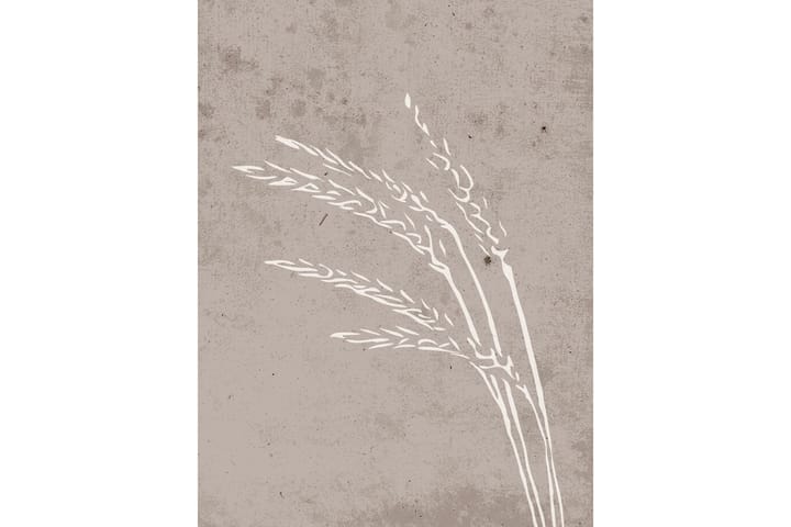 Juliste Seeds 30x40 cm - Beige - Sisustustuotteet - Taulu & taide - Juliste