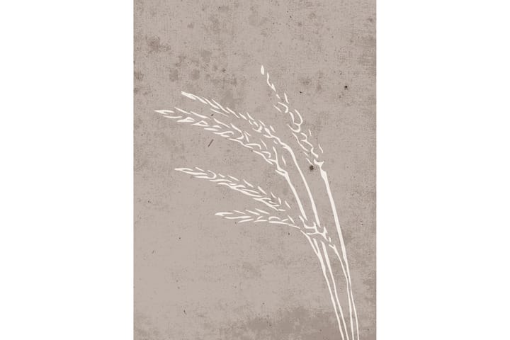 Juliste Seeds 50x70 cm - Beige - Sisustustuotteet - Taulu & taide - Juliste