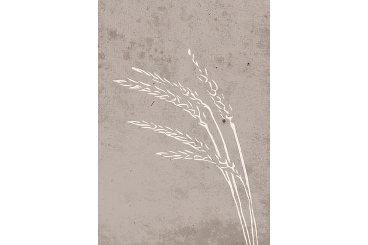 Juliste Seeds 70x100 cm - Beige - Sisustustuotteet - Taulu & taide - Juliste