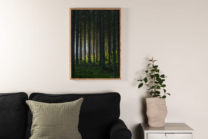 Juliste Woods 21x30 cm - Musta/Vihreä - Sisustustuotteet - Taulu & taide - Juliste