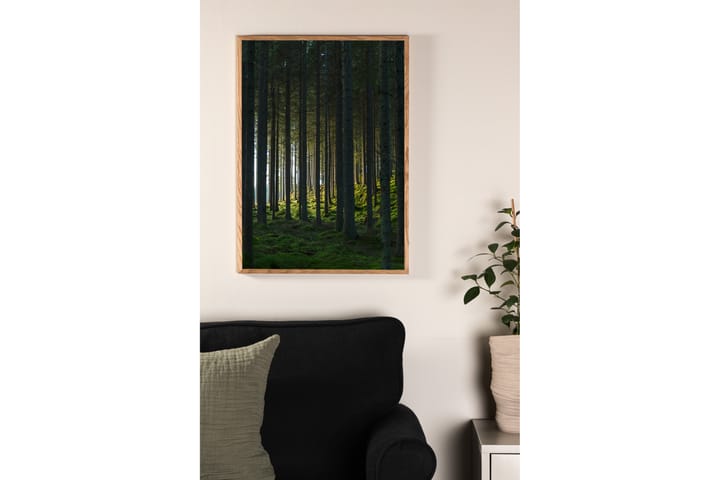 Juliste Woods 21x30 cm - Musta/Vihreä - Sisustustuotteet - Taulu & taide - Juliste