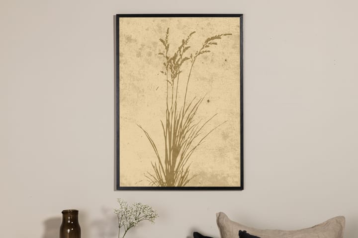 Juliste Plant art 50x70 cm - Beige - Sisustustuotteet - Taulu & taide - Juliste