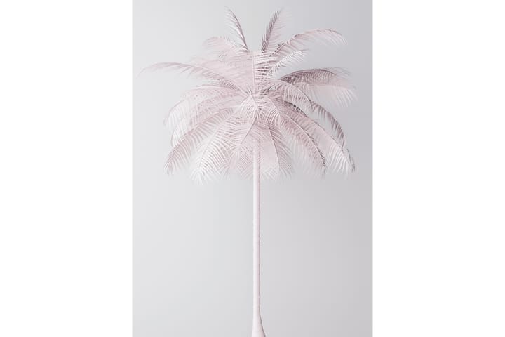 Palmtree Kuva Vaaleanpunainen/Valkoinen - 50x70 cm - Lastenhuoneen julisteet - Valokuva juliste - Juliste