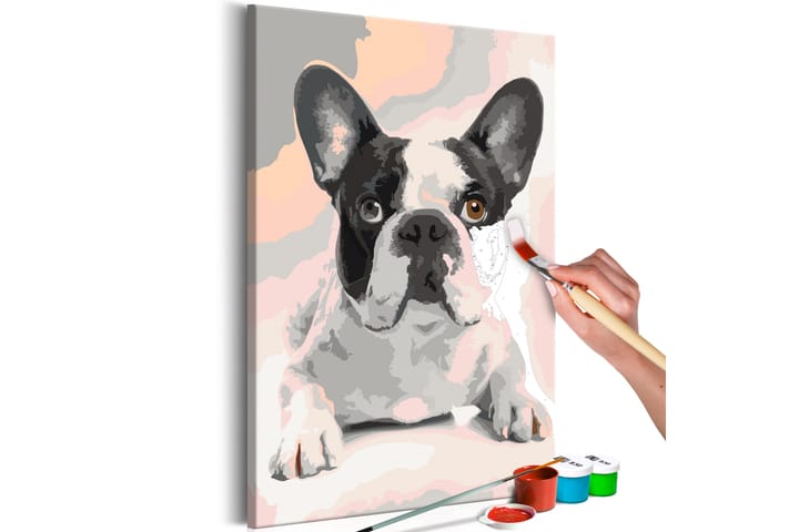 Tee-se-itse Maalaus French Bulldog  40x60 cm - Artgeist sp. z o. o. - Sisustustuotteet - Taulu & taide - Maalaa itse - Tee se itse -taulu