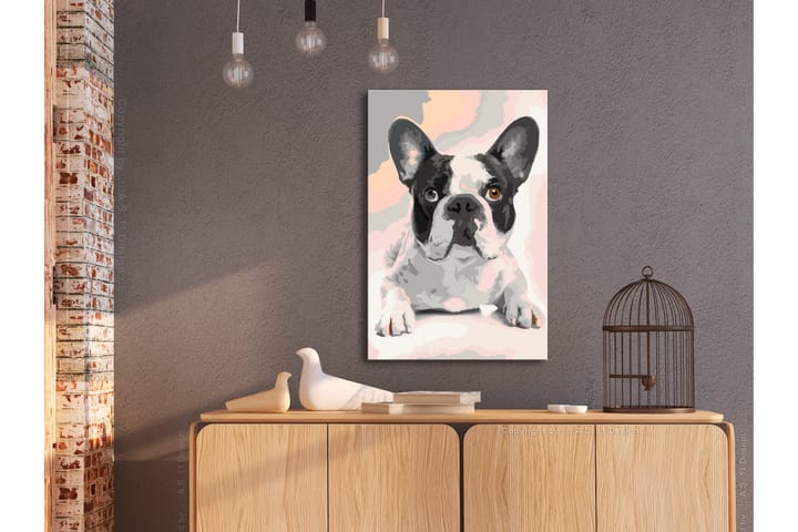 Tee-se-itse Maalaus French Bulldog  40x60 cm - Artgeist sp. z o. o. - Sisustustuotteet - Taulu & taide - Maalaa itse - Tee se itse -taulu