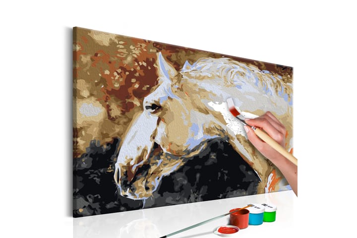 Tee-se-itse Maalaus White Horse 60x40 cm - Artgeist sp. z o. o. - Sisustustuotteet - Taulu & taide - Maalaa itse - Tee se itse -taulu