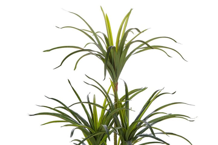 Tekokasvi Beauden 147 cm Dracaena anita - Vihreä - Sisustustuotteet - Tekokasvit