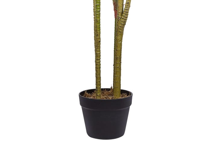 Tekokasvi Beauden 147 cm Dracaena anita - Vihreä - Sisustustuotteet - Tekokasvit