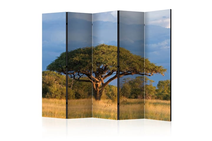 Tilanjakaja African acacia tree, Hwange 225x172 - Artgeist sp. z o. o. - Sisustustuotteet - Tilanjakaja & sermi