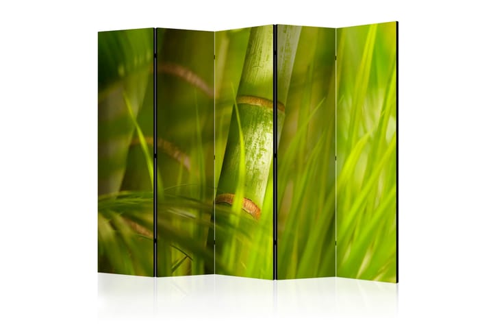 Tilanjakaja Bamboo - Nature Zen II - Artgeist sp. z o. o. - Sisustustuotteet - Tilanjakaja & sermi