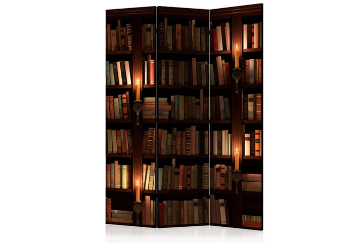 Tilanjakaja Bookshelves 135x172 - Artgeist sp. z o. o. - Sisustustuotteet - Tilanjakaja & sermi