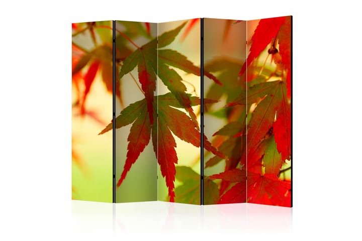 Tilanjakaja Colourful leaves II 225x172 - Artgeist sp. z o. o. - Sisustustuotteet - Tilanjakaja & sermi