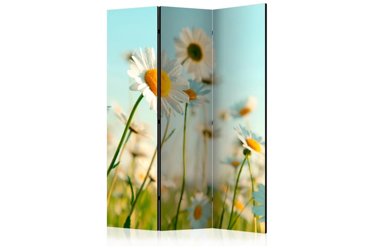 Tilanjakaja Daisies - spring meadow 135x172 - Artgeist sp. z o. o. - Sisustustuotteet - Tilanjakaja & sermi